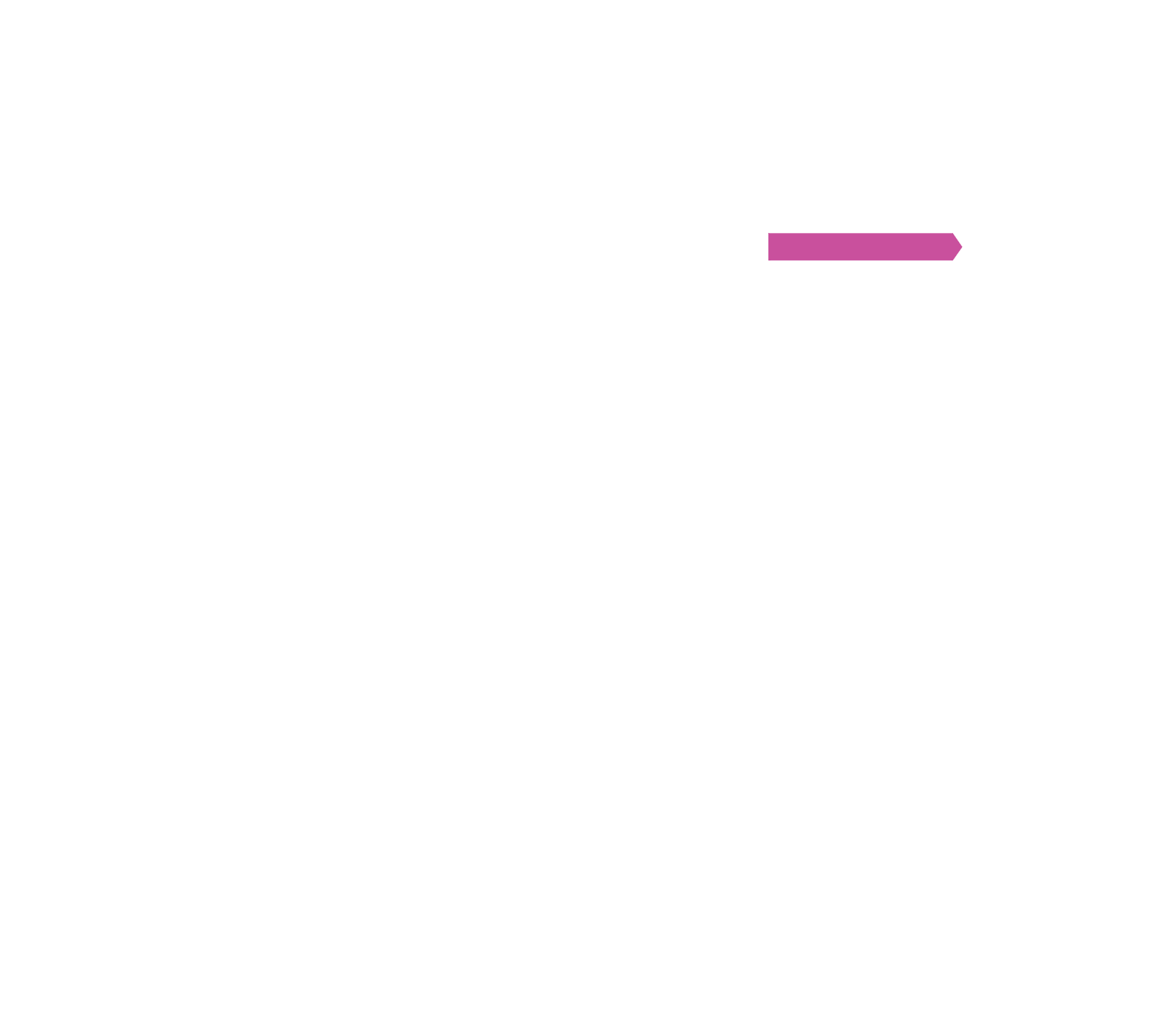 osde-1000days-overlay-3