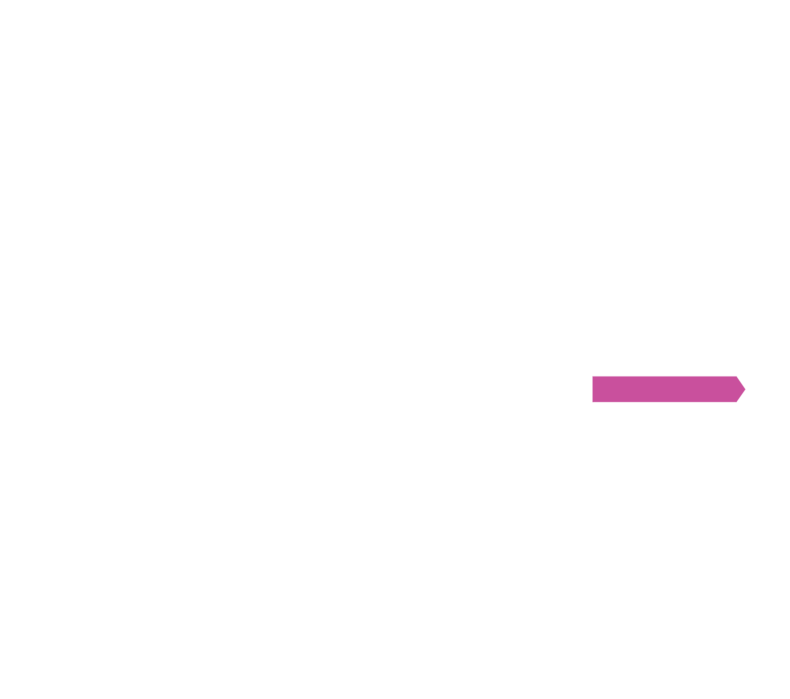osde-1000days-overlay-4